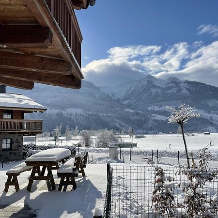 Tauern Lodge L 皮森多夫 外观 照片