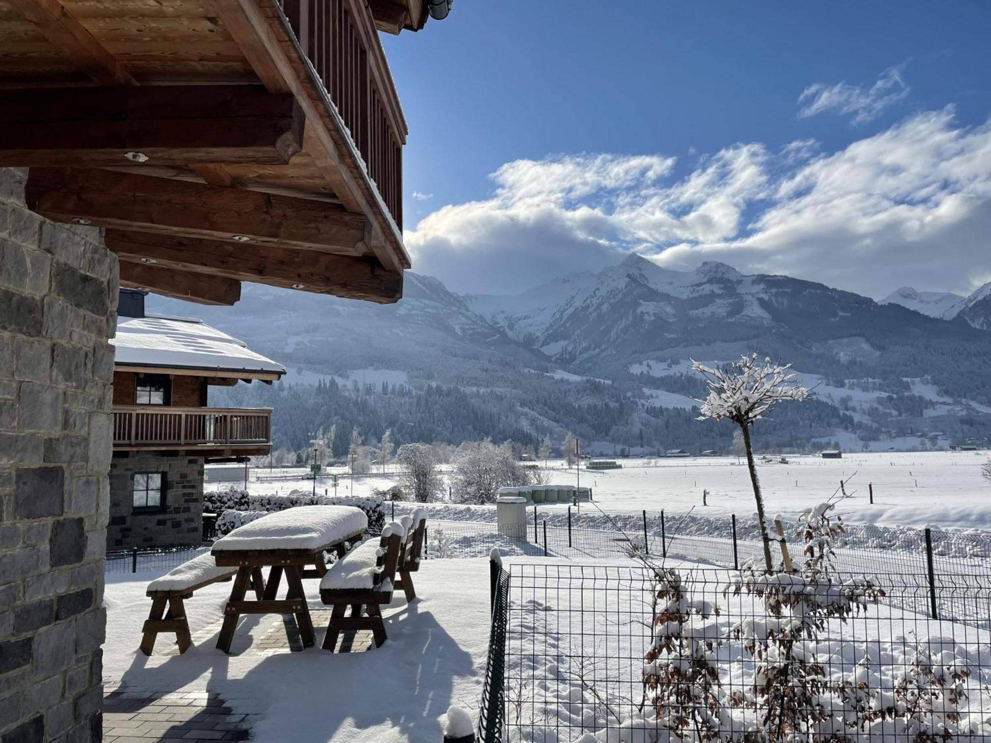Tauern Lodge L 皮森多夫 外观 照片