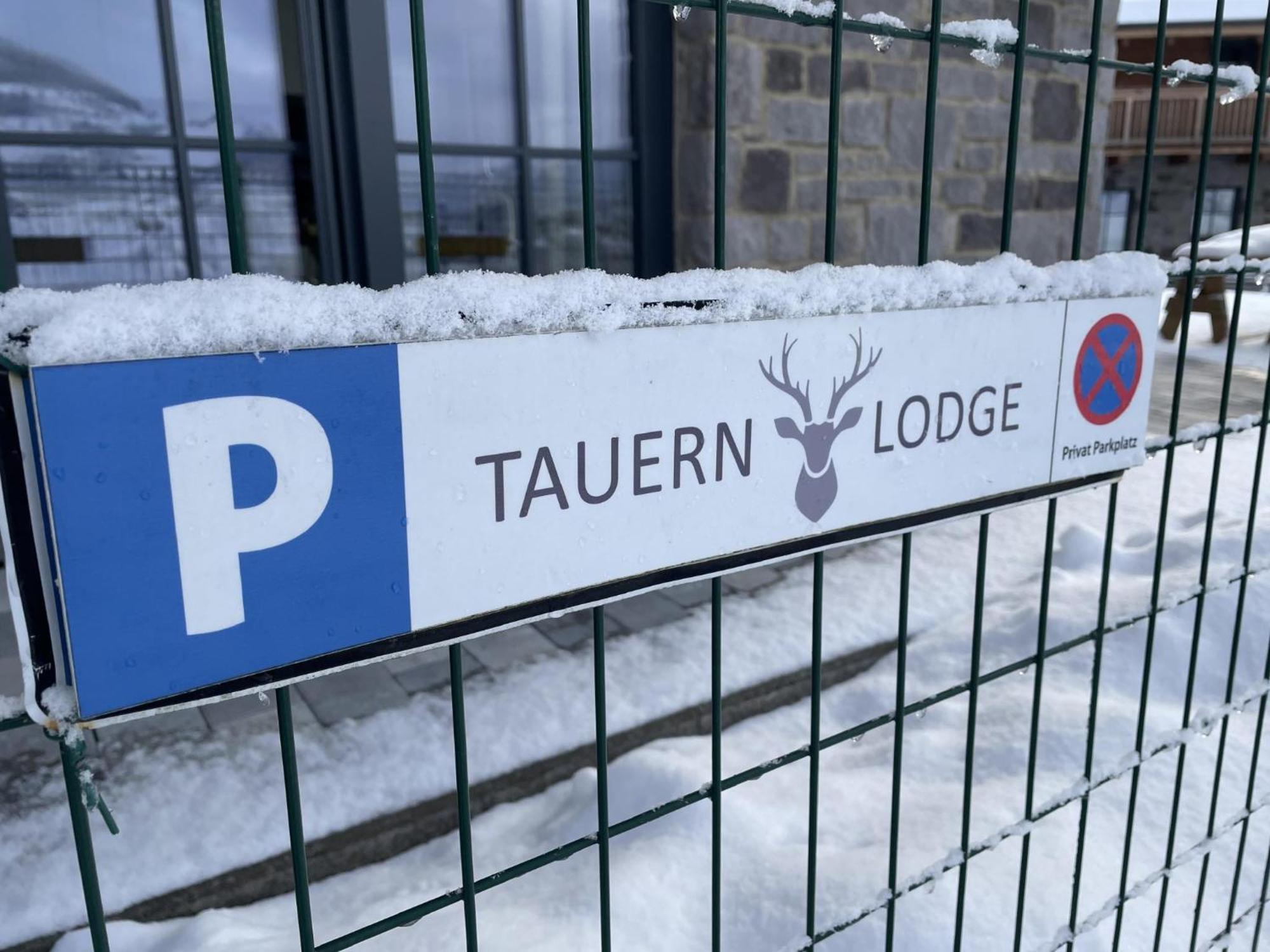 Tauern Lodge L 皮森多夫 外观 照片