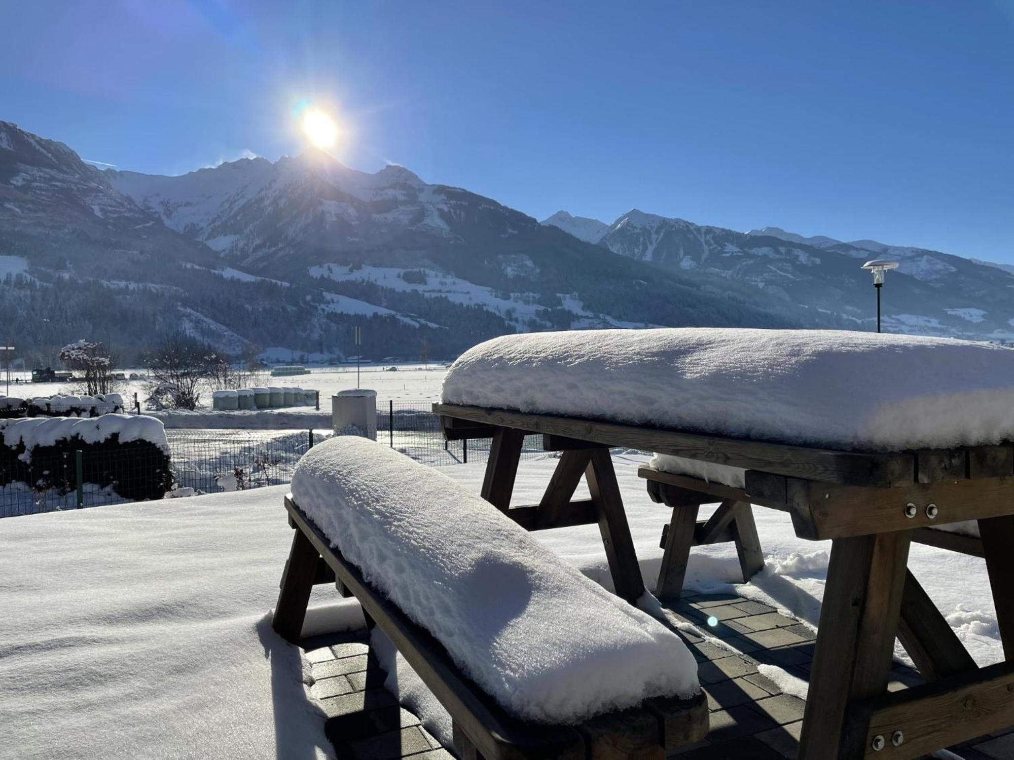 Tauern Lodge L 皮森多夫 外观 照片