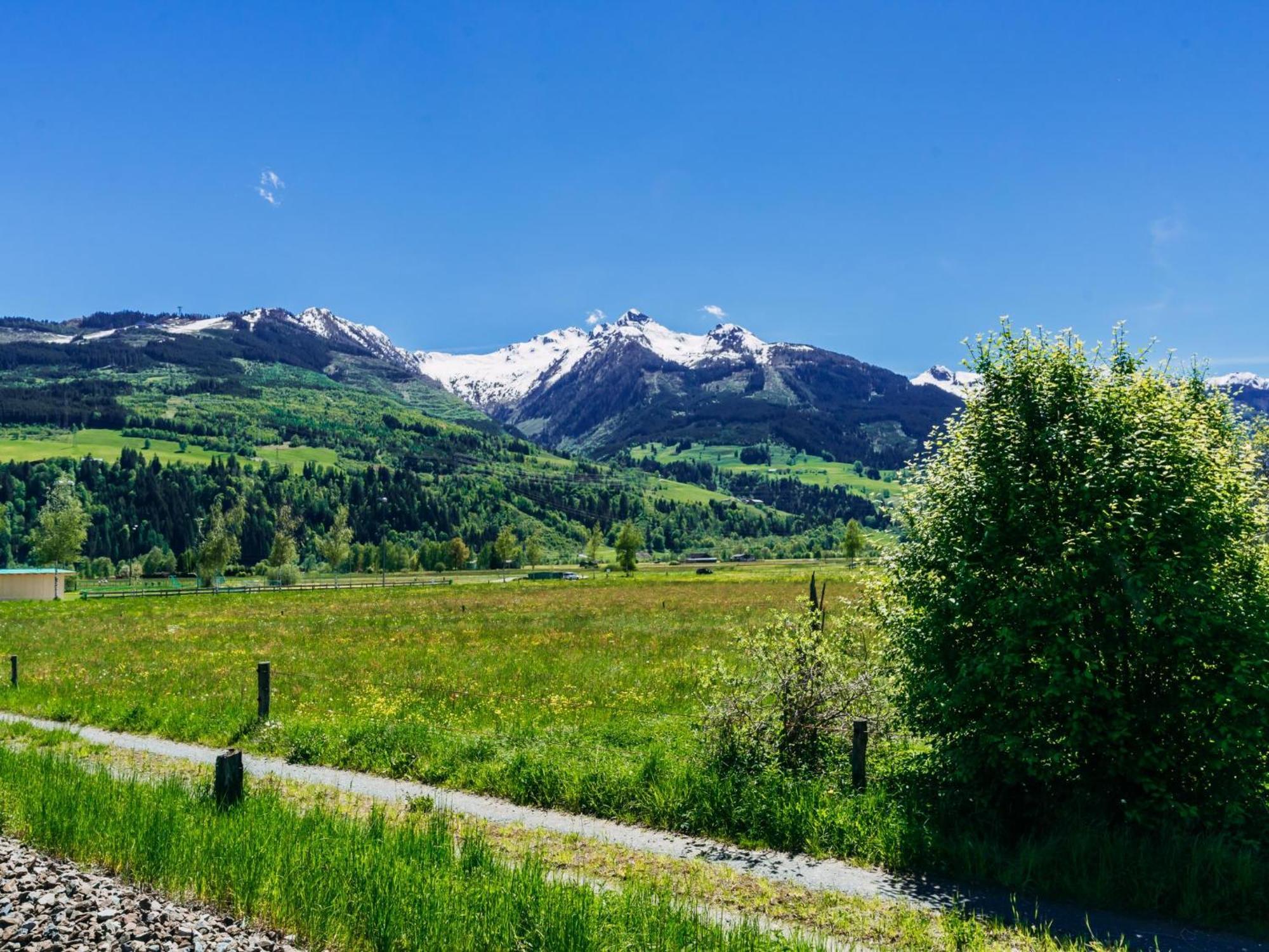 Tauern Lodge L 皮森多夫 外观 照片